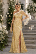 VESTIDO DOURADO COM PLUMAS