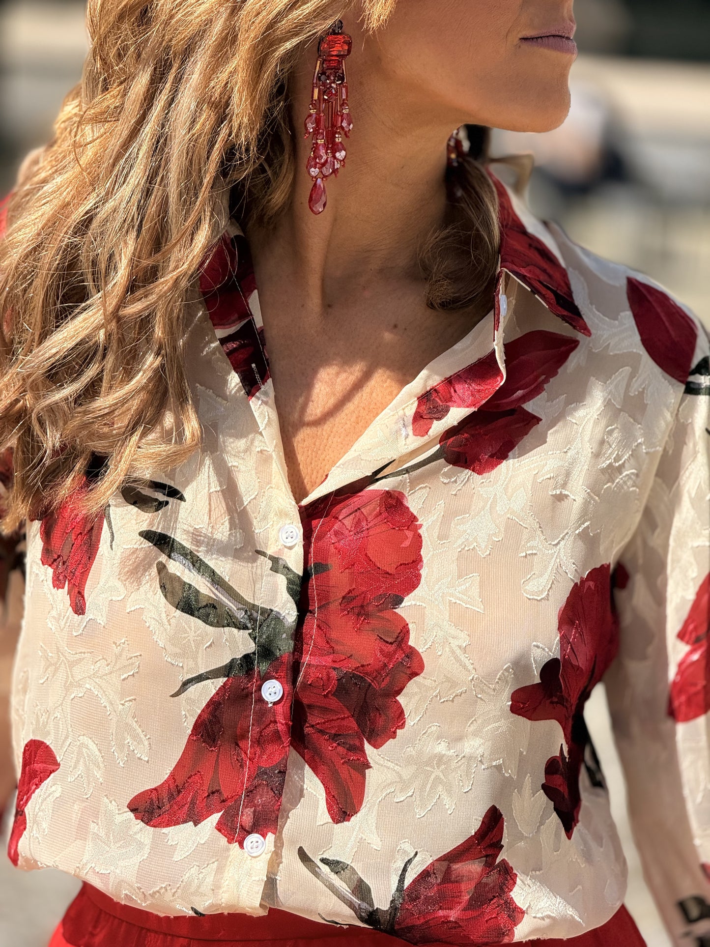 Blusa cravos