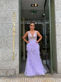 VESTIDO LONGO DE PENAS