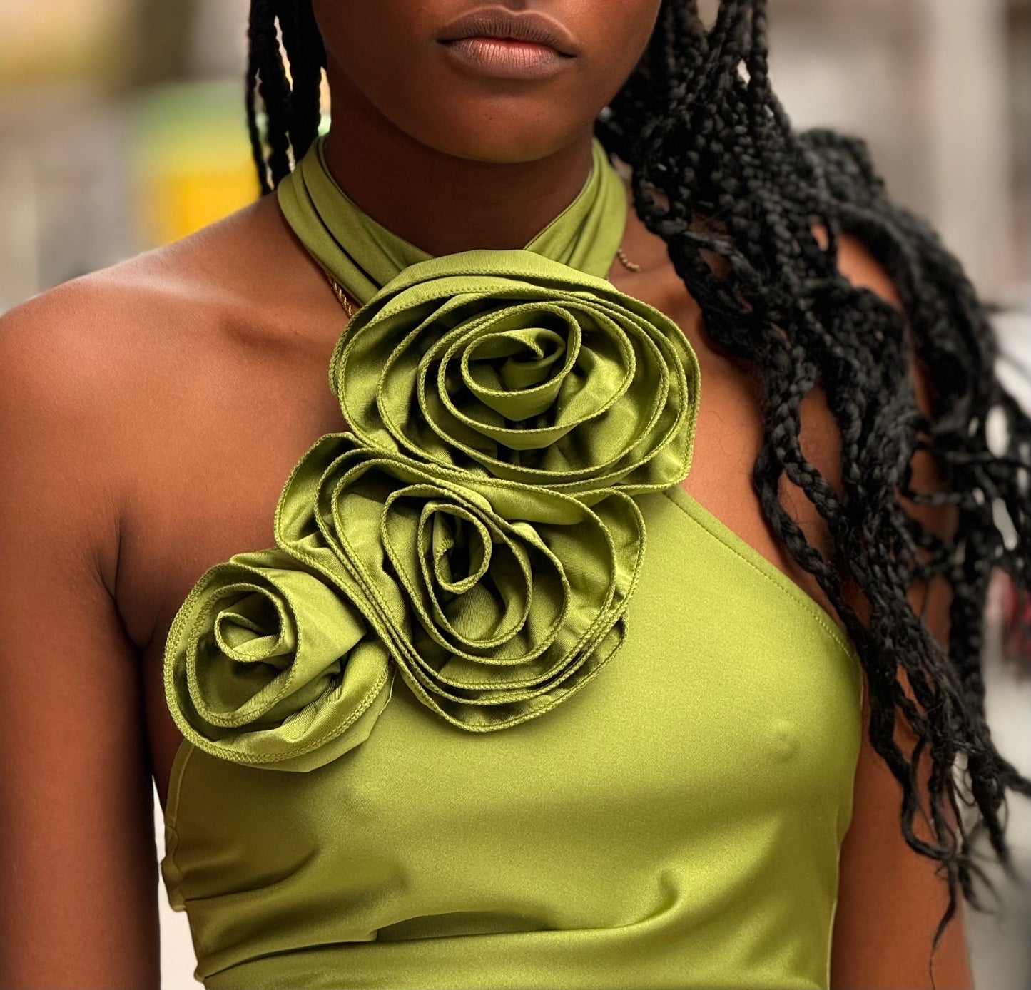 Vestido das rosas